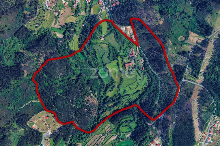 Quinta T8 para Venda em Covelas Foto 46