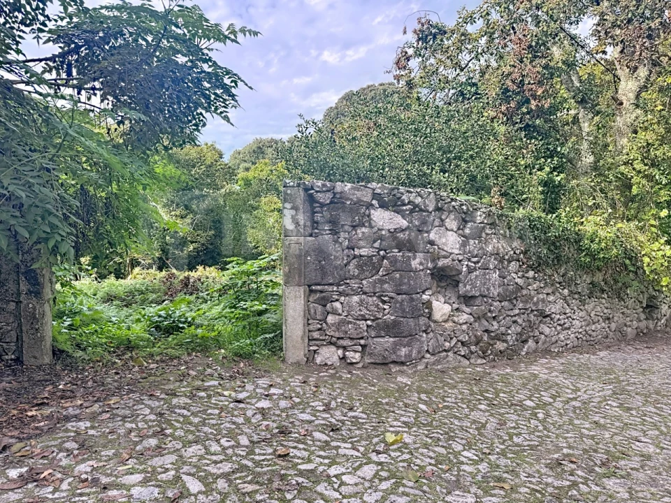 Terreno para Venda em Moledo e Cristelo Foto 2