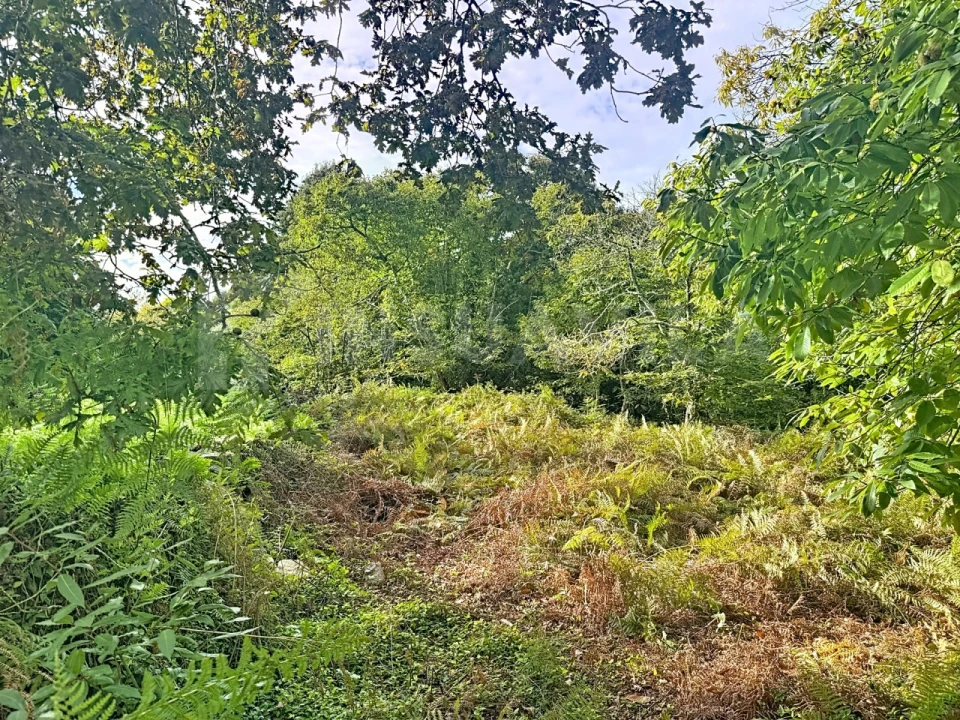 Terreno para Venda em Moledo e Cristelo Foto 9
