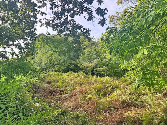 Terreno para Venda em Moledo e Cristelo Foto 10