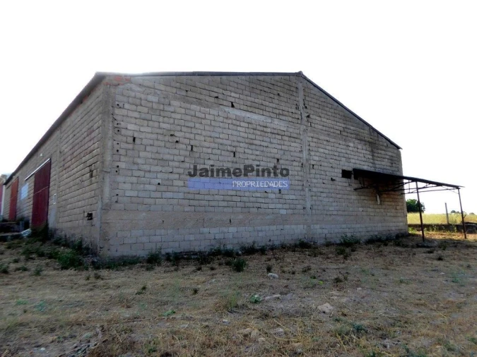 Armazém para Venda em Felgar e Souto da Velha Foto 2