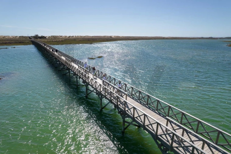 Apartamento T2 para Venda em Almancil Foto 10