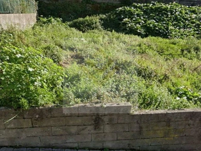 Terreno para Venda em Matosinhos e Leça da Palmeira Foto 2