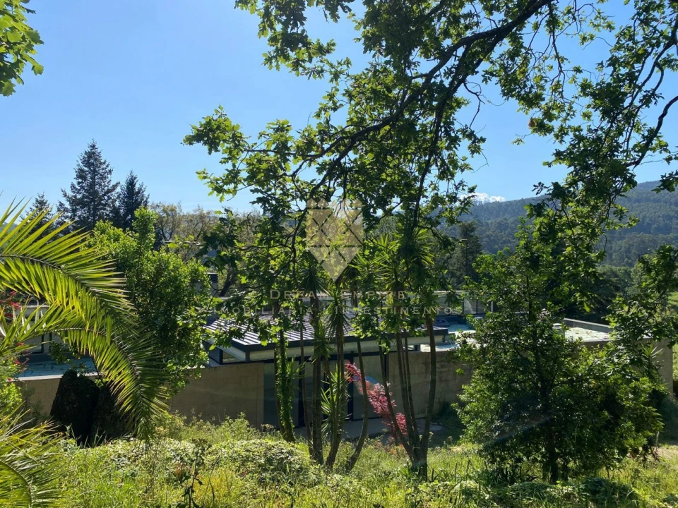 Quinta T0 para Venda em Paço de Sousa Foto 30