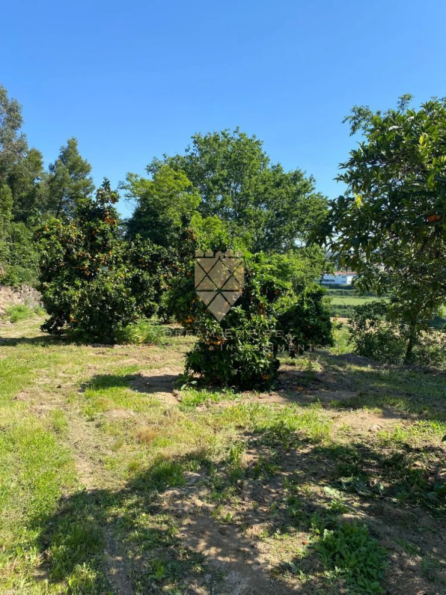 Quinta T0 para Venda em Paço de Sousa Foto 35