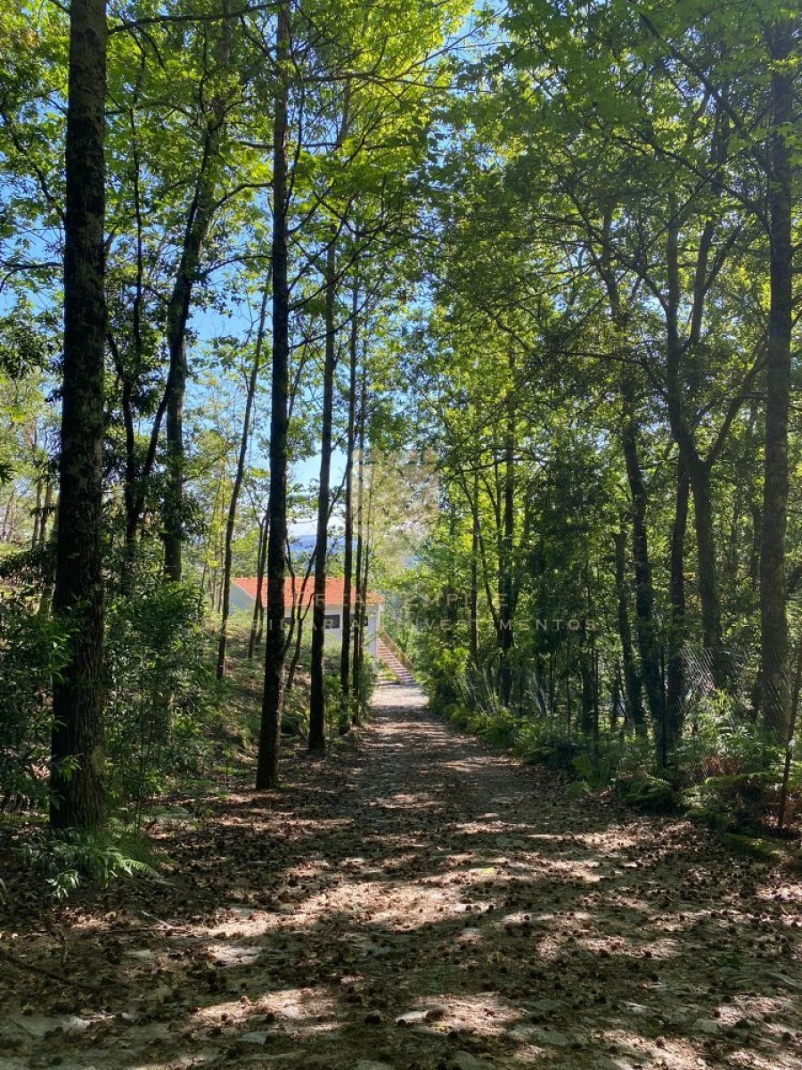 Quinta T0 para Venda em Paço de Sousa Foto 25