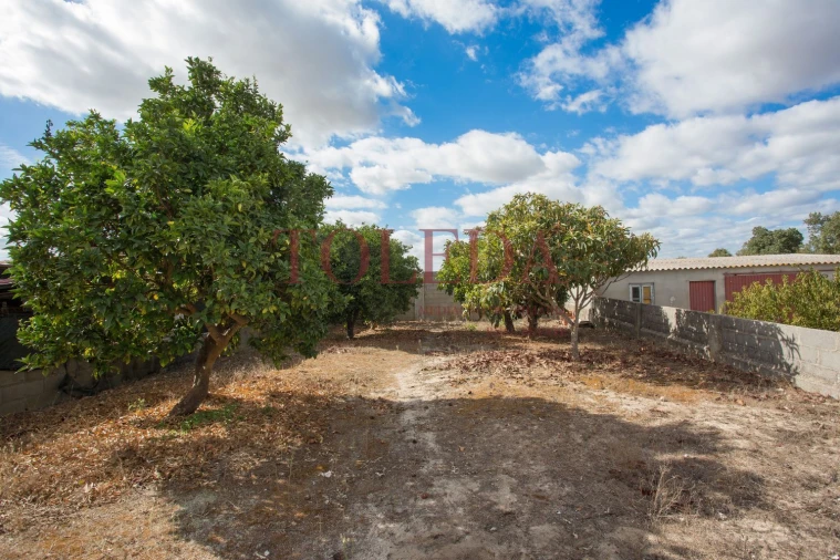 Moradia T3 para Venda em Salvaterra de Magos e Foros de Salvaterra Foto 23