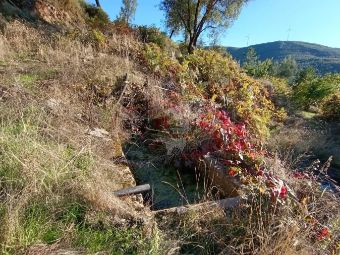 Quinta T0 para Venda em Oleiros-Amieira Foto 17