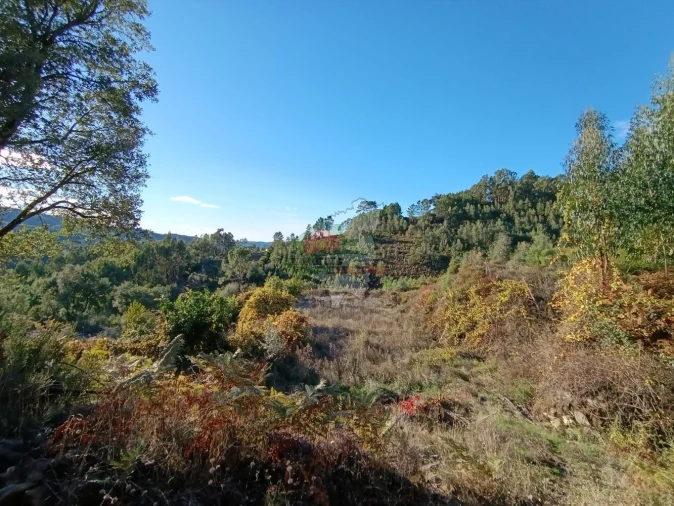 Quinta T0 para Venda em Oleiros-Amieira Foto 16