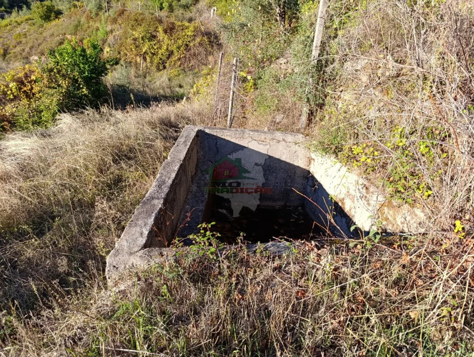Quinta T0 para Venda em Oleiros-Amieira Foto 23