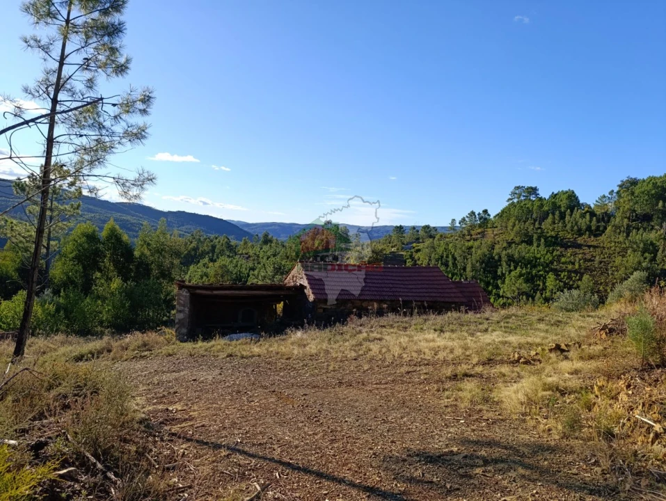 Quinta T0 para Venda em Oleiros-Amieira Foto 3