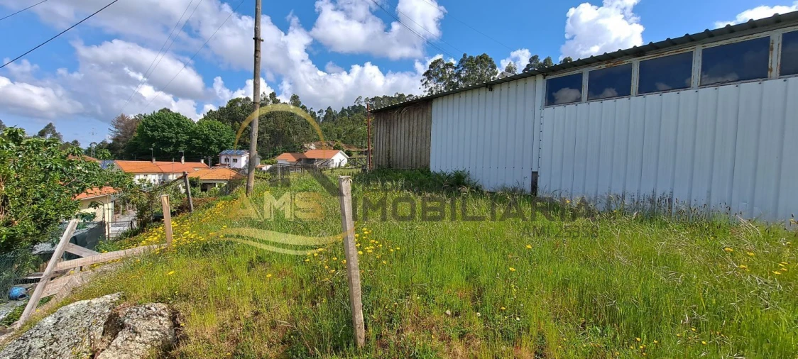 Terreno para Venda em Silvares (São Martinho) Foto 12