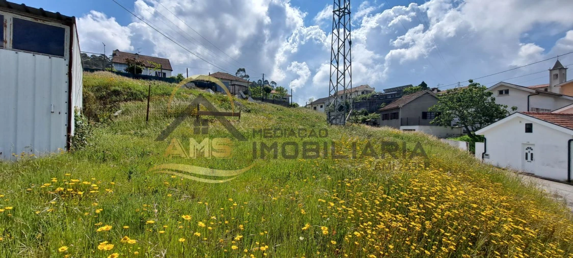 Terreno para Venda em Silvares (São Martinho) Foto 9
