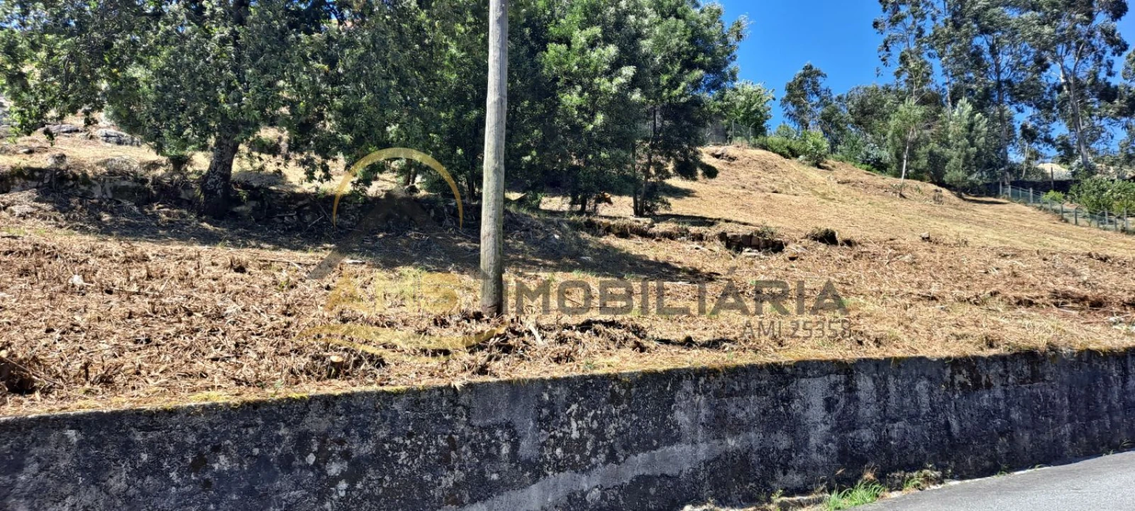 Terreno para Venda em Golães Foto 7