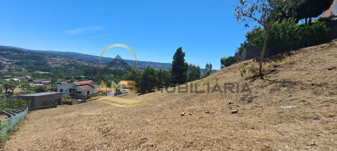 Terreno para Venda em Golães Foto 6