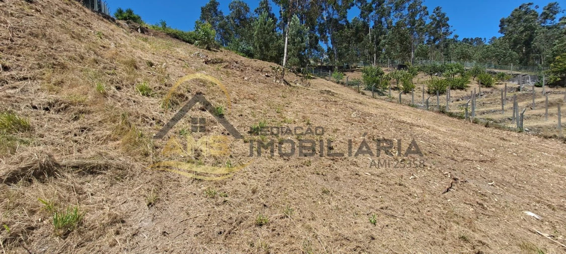 Terreno para Venda em Golães Foto 4