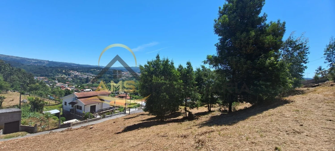 Terreno para Venda em Golães Foto 3