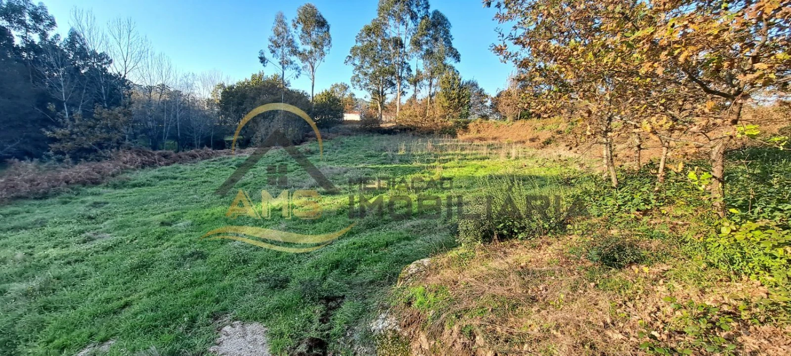 Terreno para Venda em Fafe Foto 18