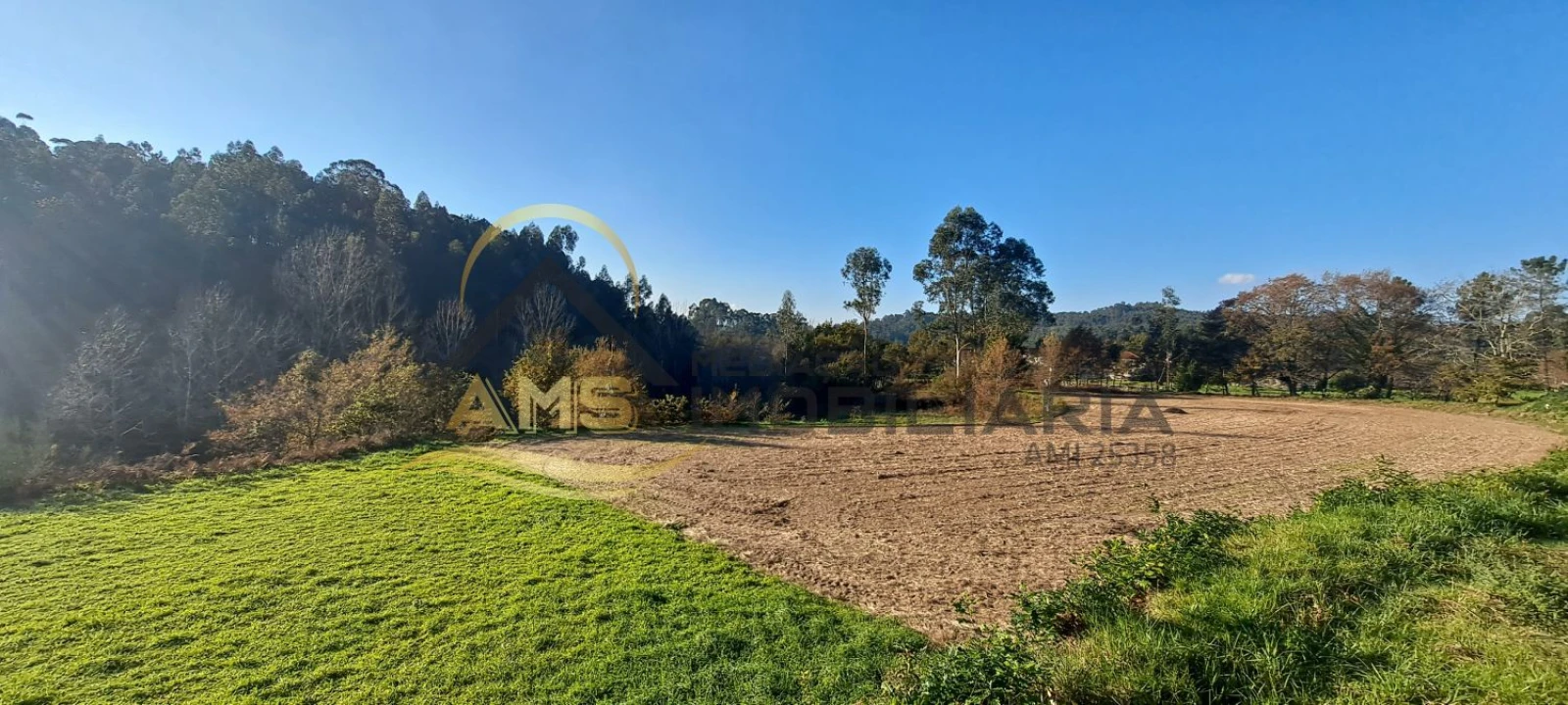 Terreno para Venda em Fafe Foto 13