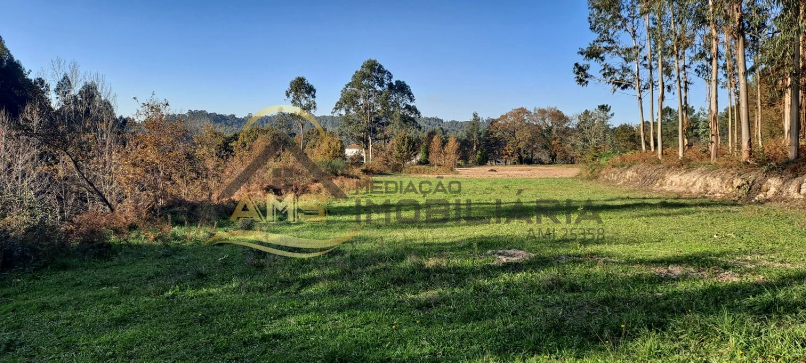 Terreno para Venda em Fafe Foto 3