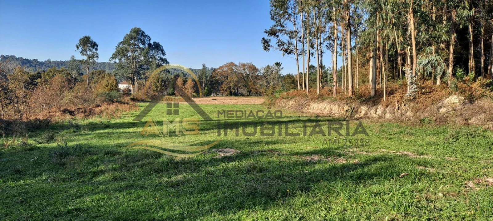 Terreno para Venda em Fafe Foto 5