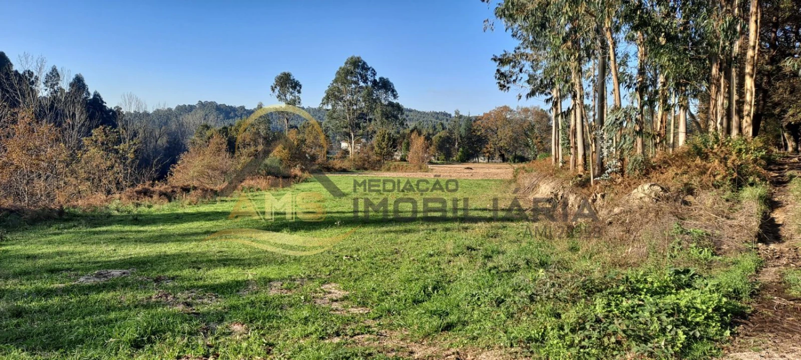 Terreno para Venda em Fafe Foto 7