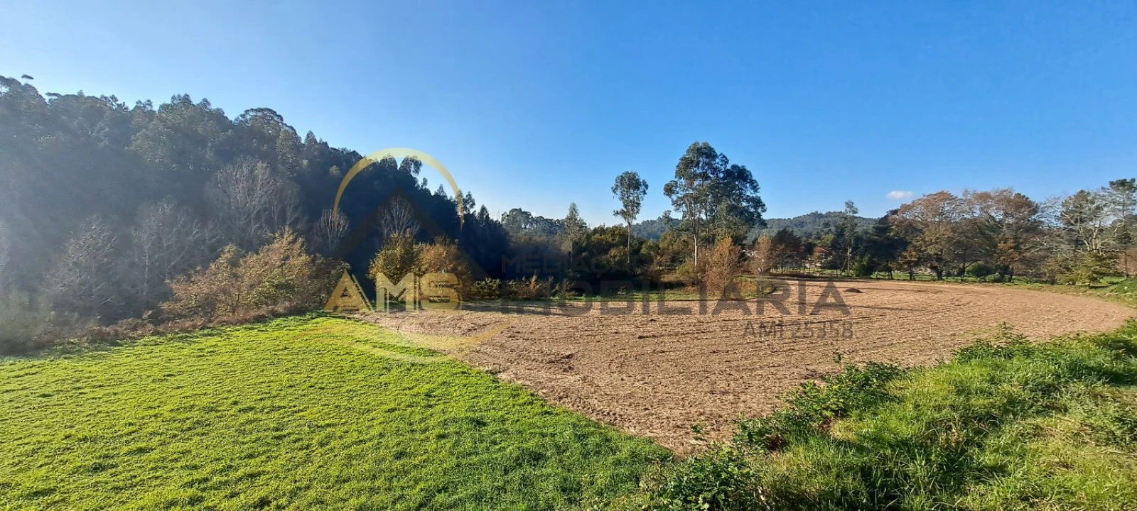 Terreno para Venda em Fafe Foto 2