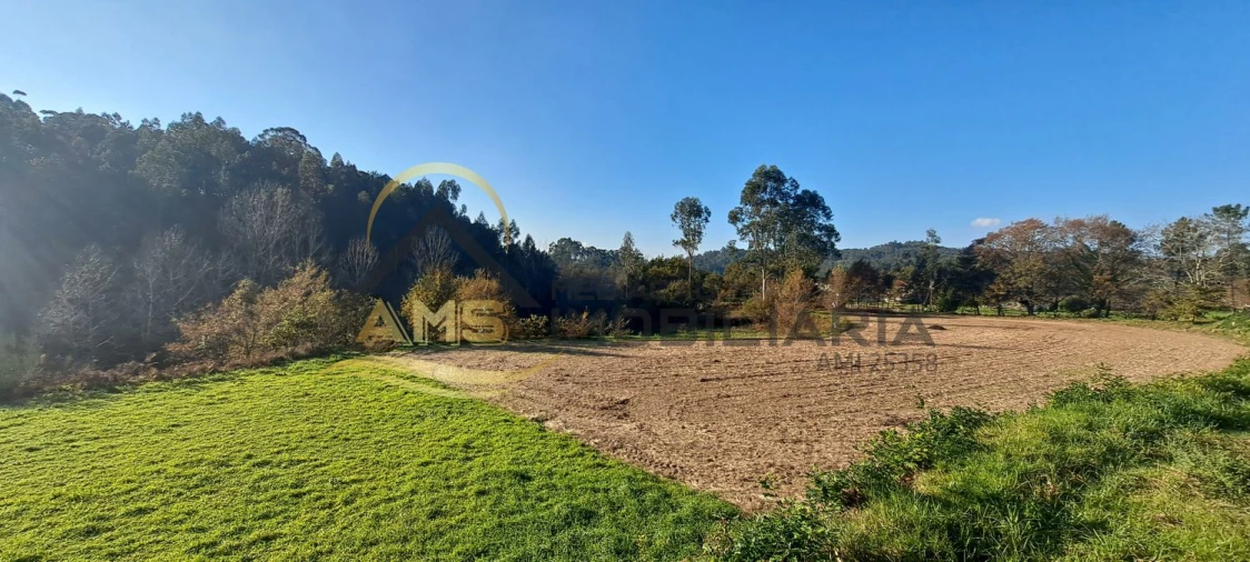 Terreno para Venda em Fafe Foto 13