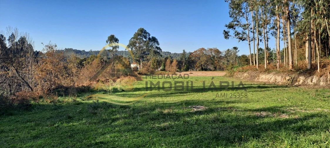 Terreno para Venda em Fafe