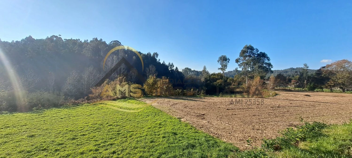 Terreno para Venda em Fafe Foto 16