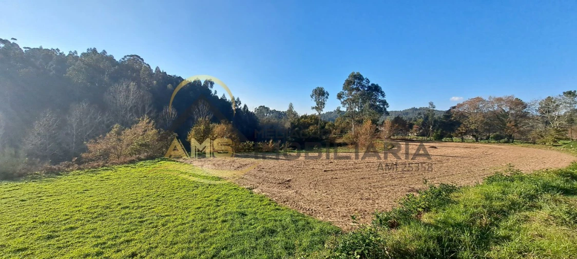 Terreno para Venda em Fafe Foto 2