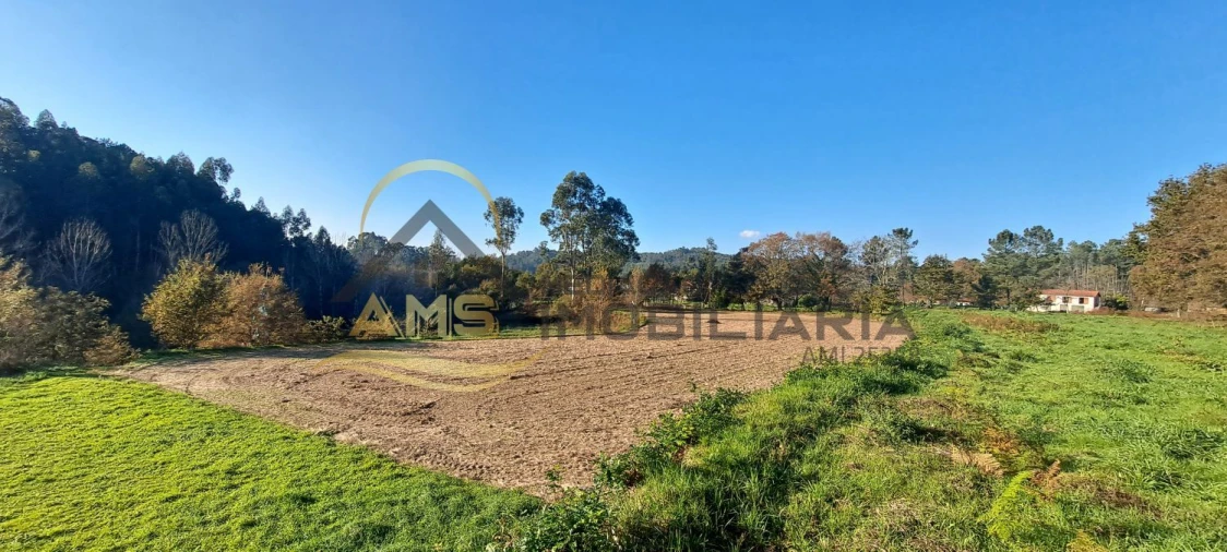 Terreno para Venda em Fafe Foto 14