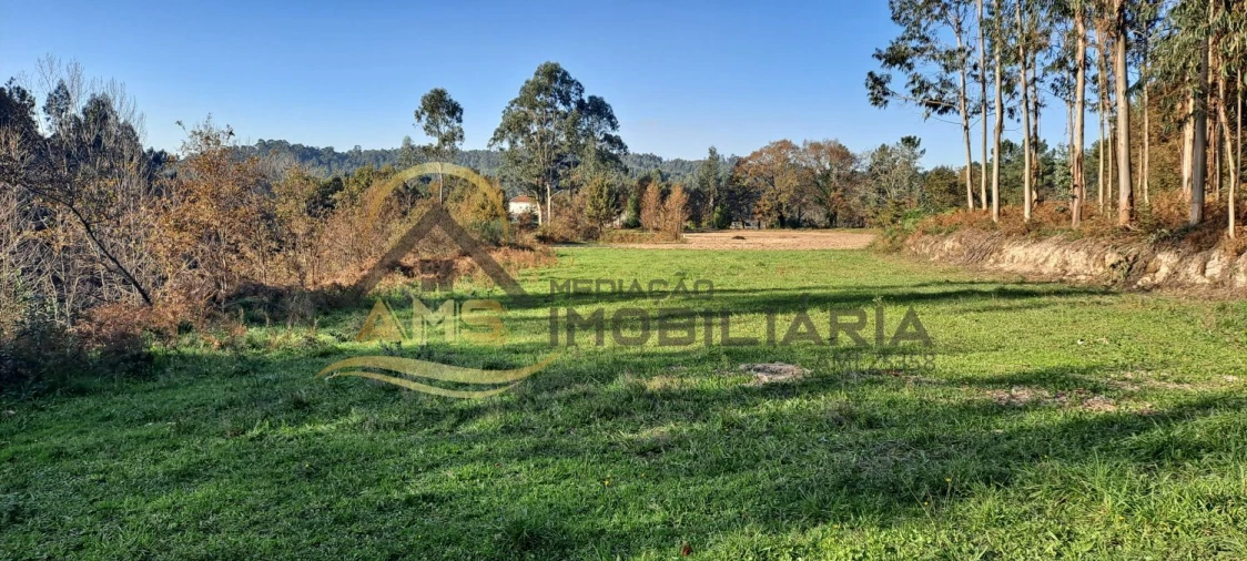 Terreno para Venda em Fafe Foto 6
