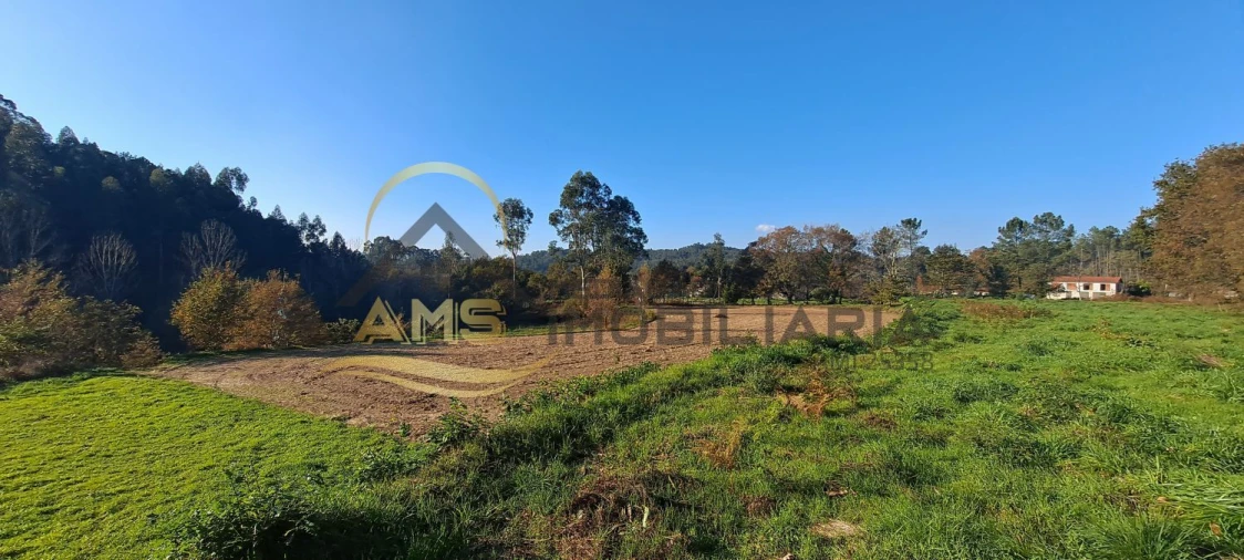 Terreno para Venda em Fafe Foto 12