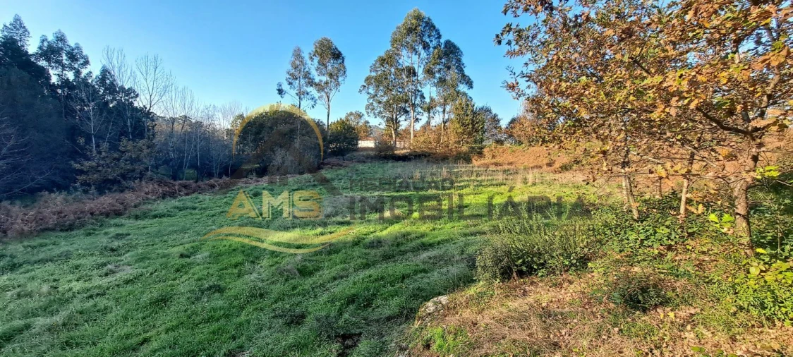 Terreno para Venda em Fafe Foto 17