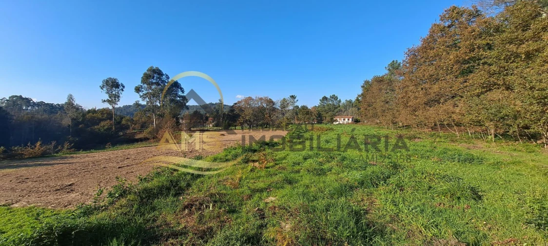 Terreno para Venda em Fafe Foto 10