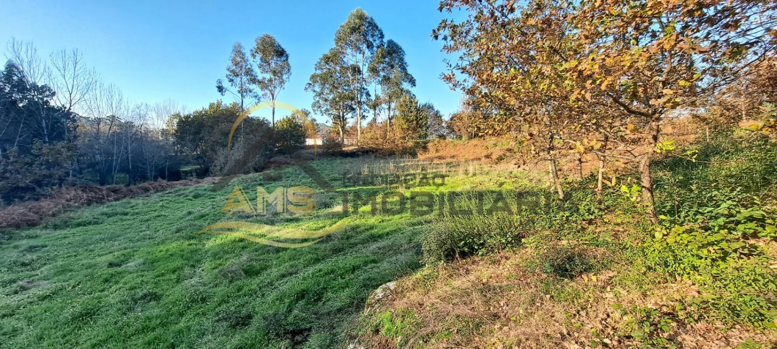 Terreno para Venda em Fafe Foto 19