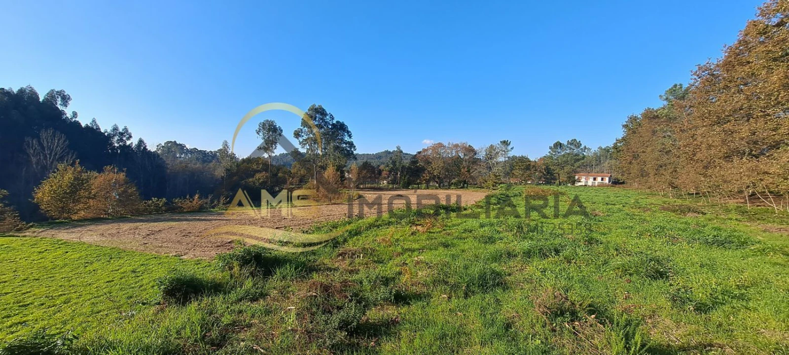 Terreno para Venda em Fafe Foto 9