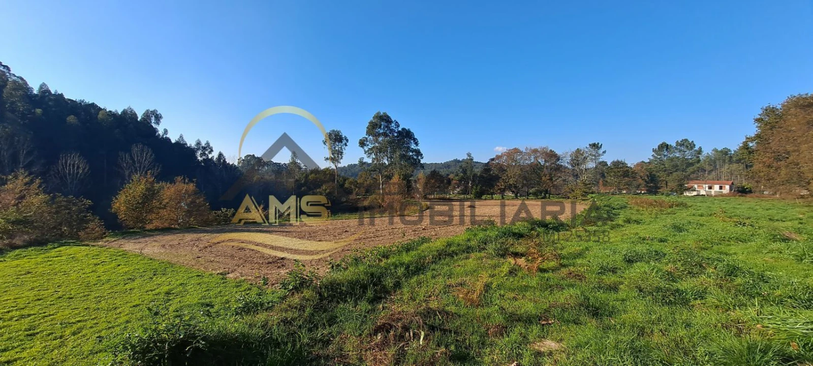 Terreno para Venda em Fafe Foto 12