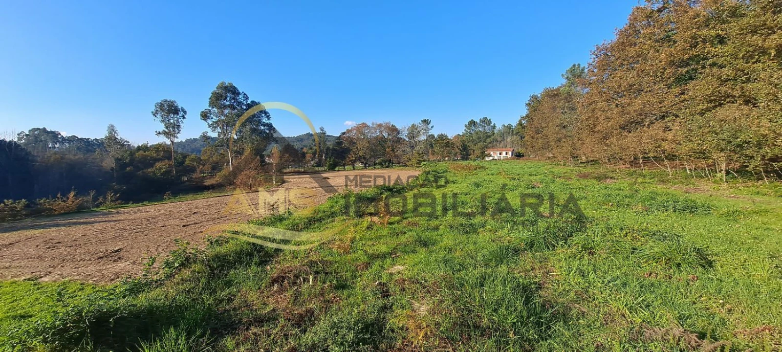 Terreno para Venda em Fafe Foto 4