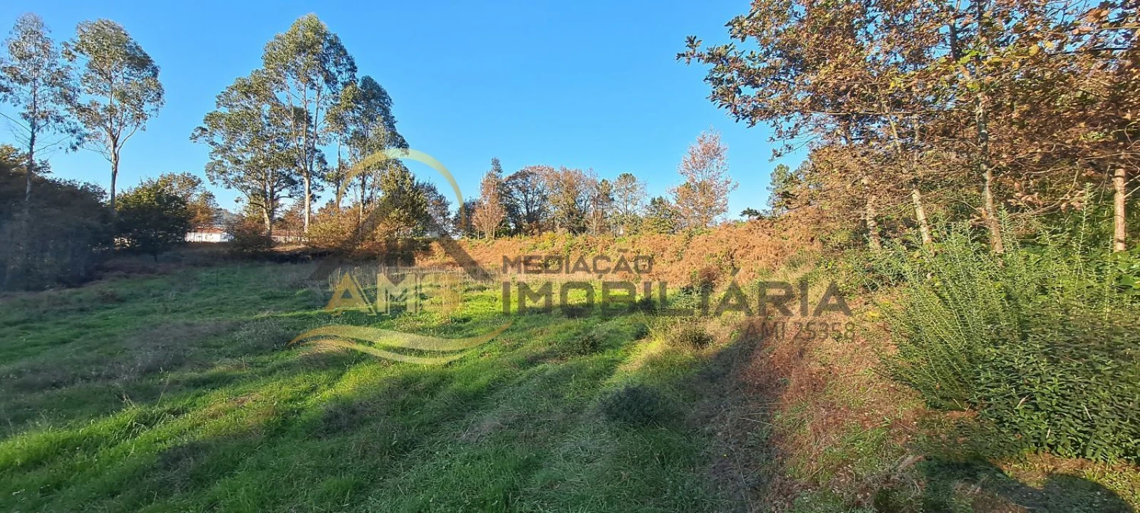 Terreno para Venda em Fafe Foto 20