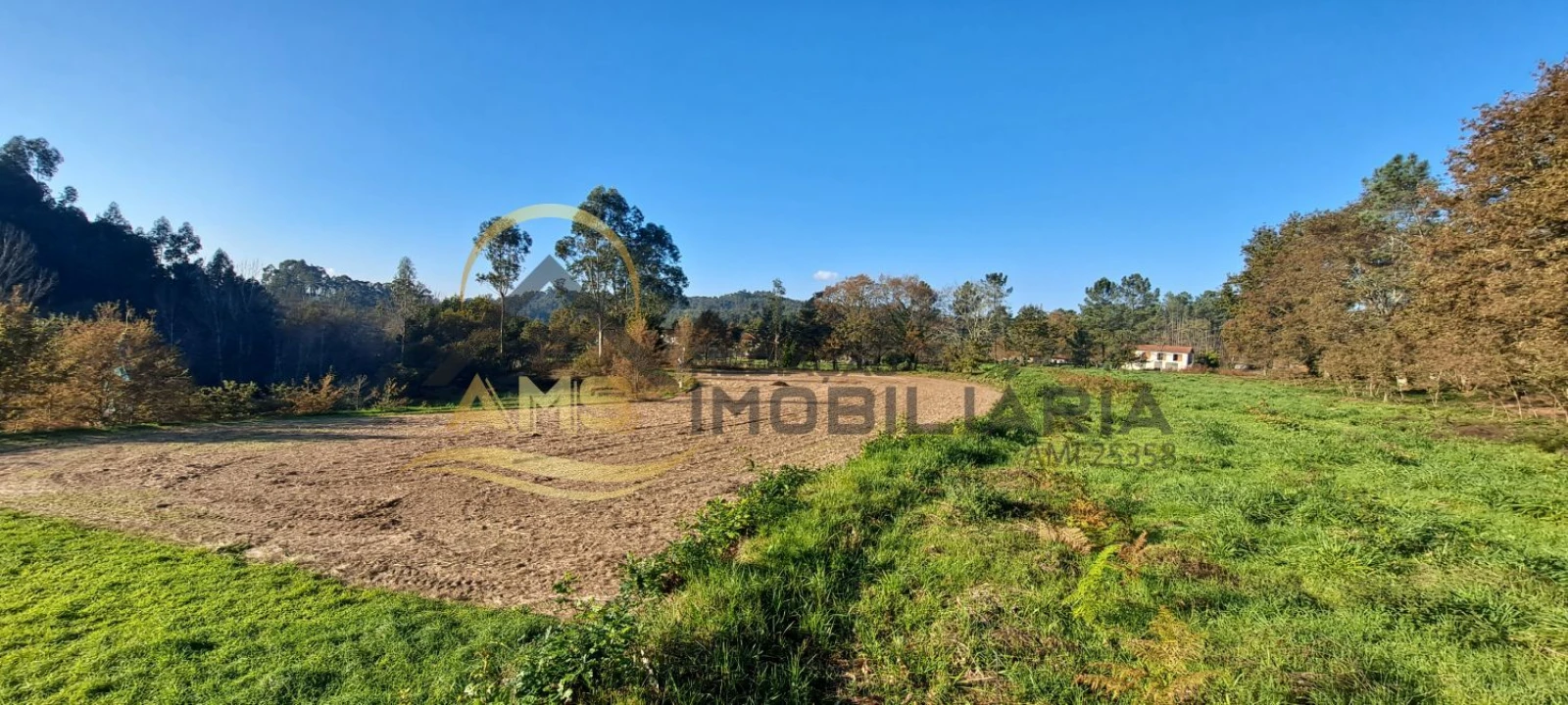 Terreno para Venda em Fafe Foto 15