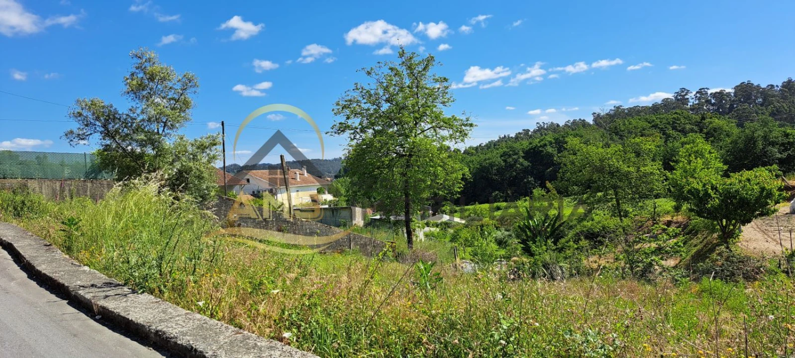 Terreno para Venda em Golães Foto 8