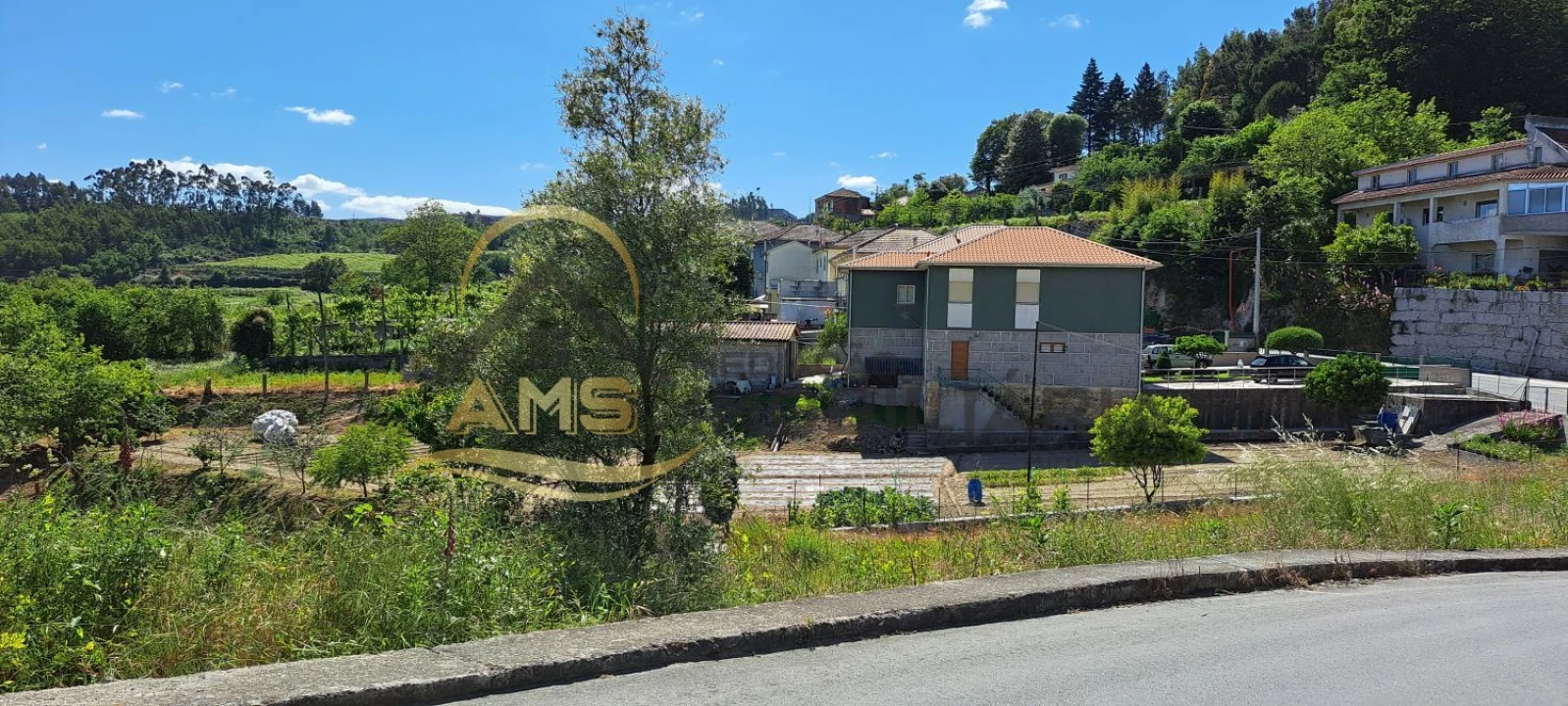 Terreno para Venda em Golães Foto 16