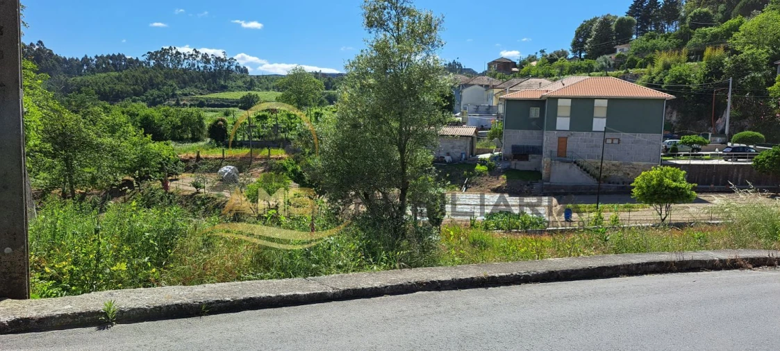 Terreno para Venda em Golães Foto 13