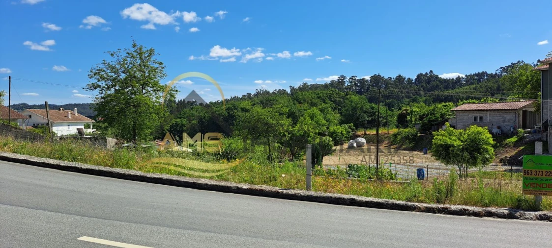 Terreno para Venda em Golães Foto 3