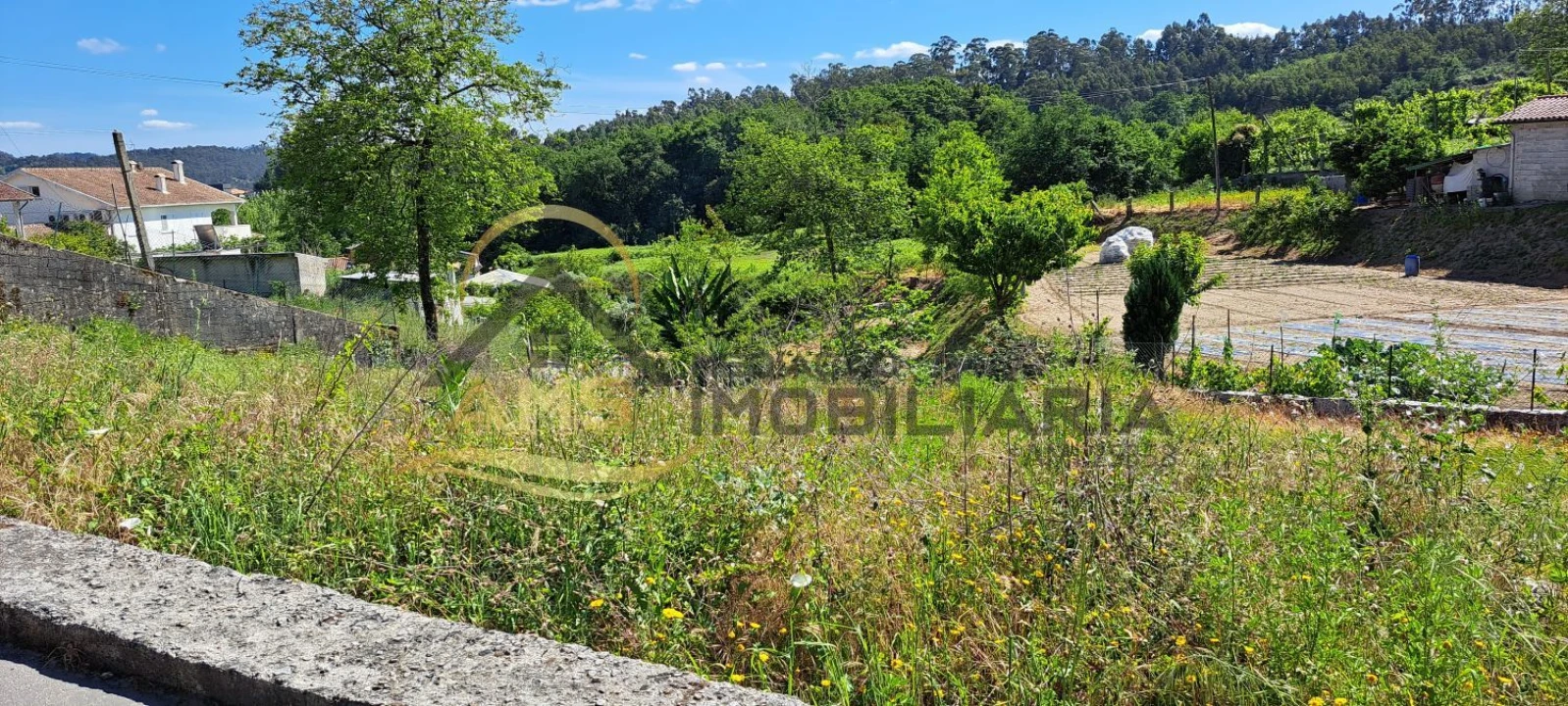 Terreno para Venda em Golães Foto 6
