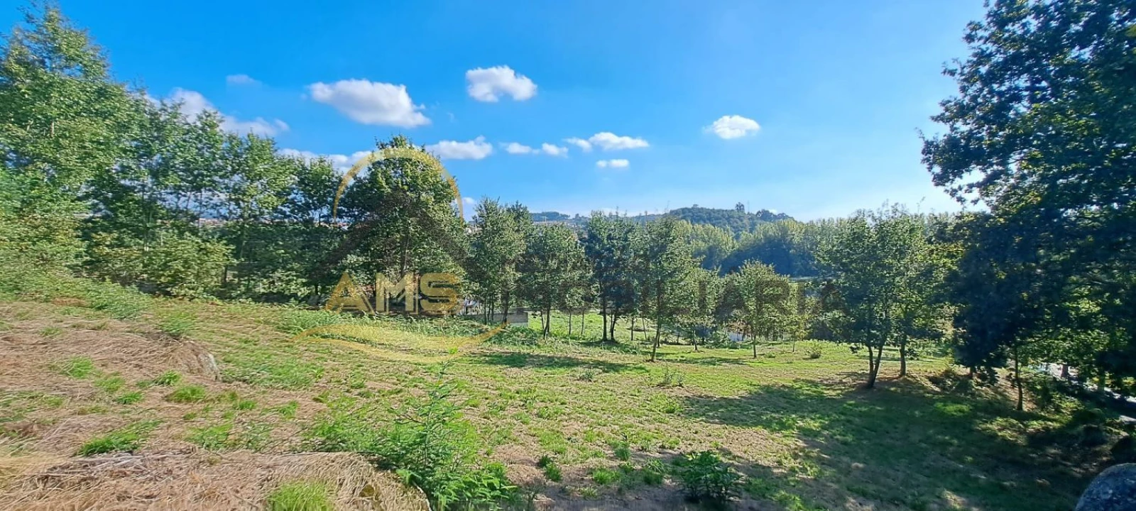 Terreno para Venda em Fornelos Foto 20