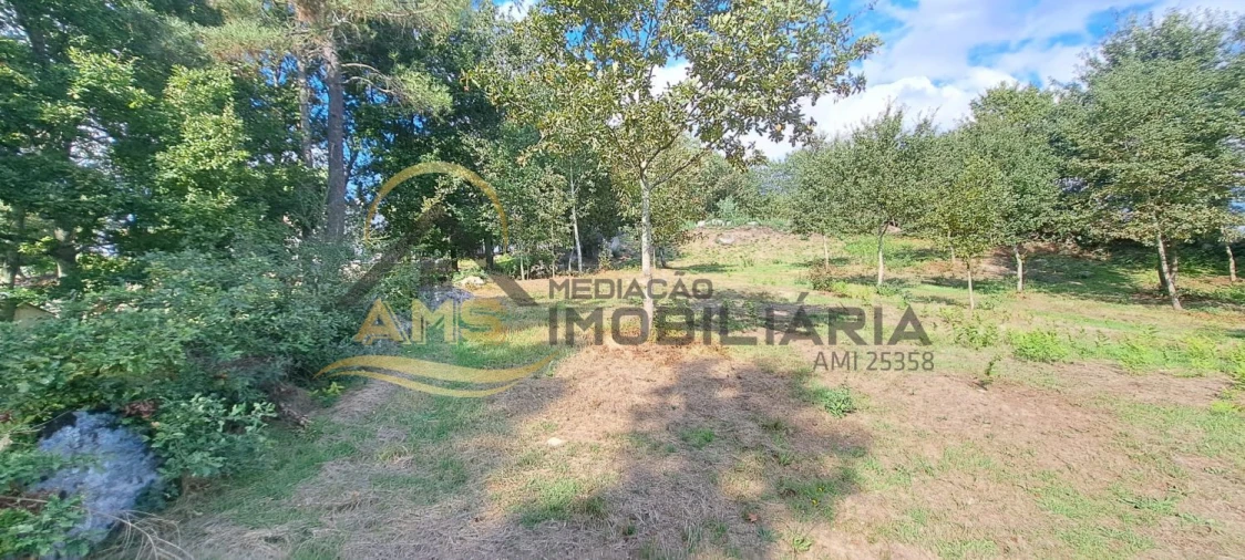 Terreno para Venda em Fornelos Foto 37