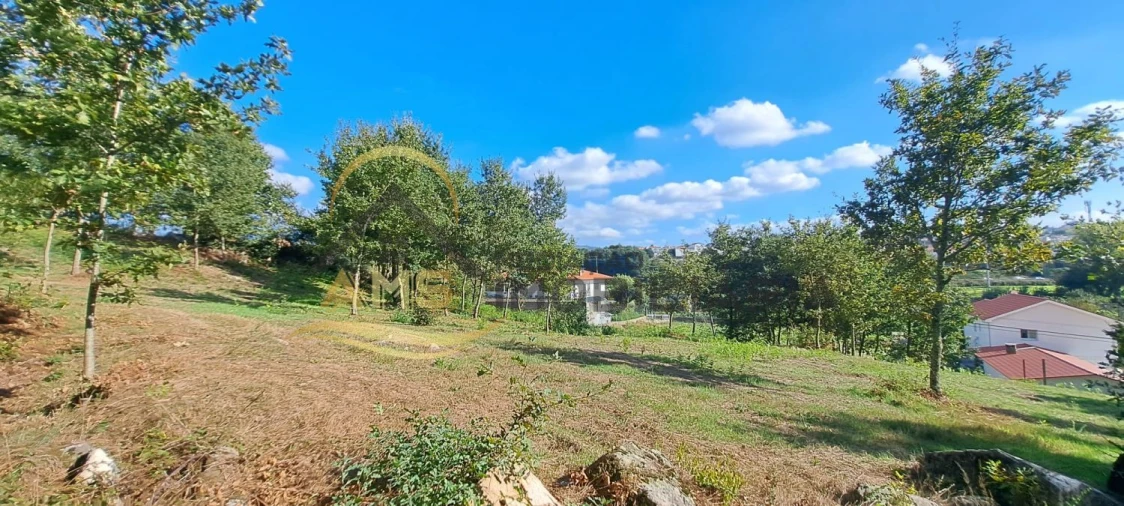 Terreno para Venda em Fornelos Foto 12